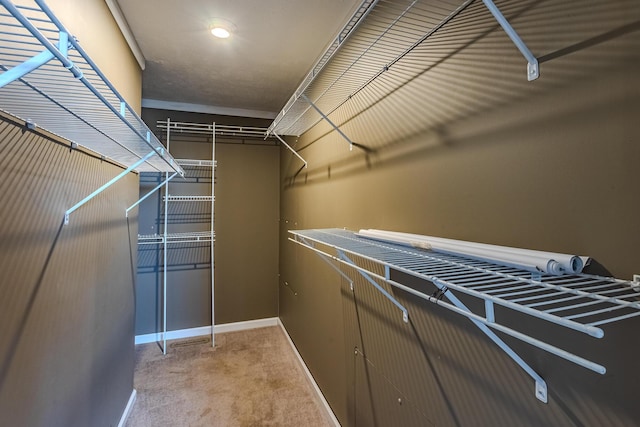 walk in closet featuring carpet