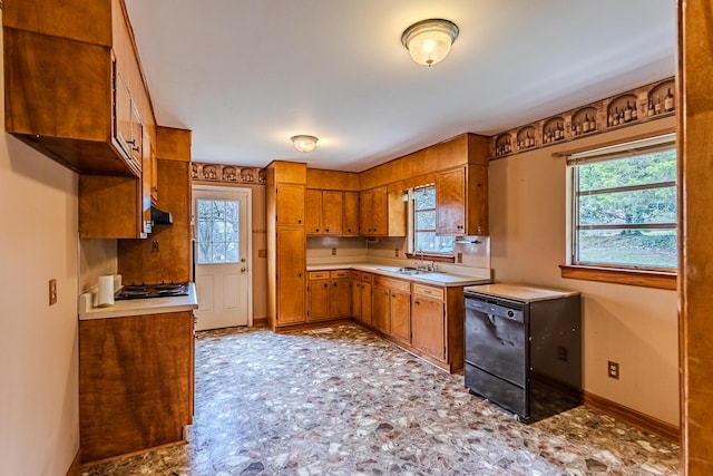 kitchen with a healthy amount of sunlight, black dishwasher, and sink