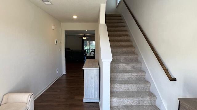 stairs featuring hardwood / wood-style flooring