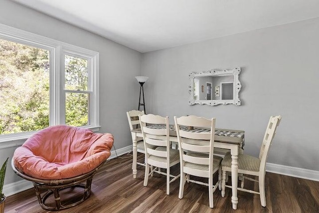 dining area with dark wood-type flooring