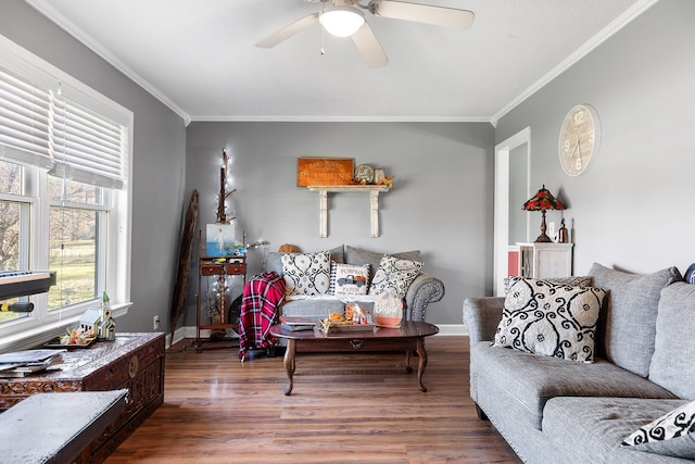 living room with hardwood / wood-style floors, ceiling fan, and ornamental molding