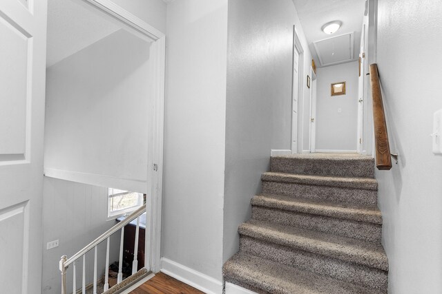 stairway with hardwood / wood-style floors