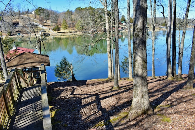 property view of water