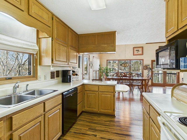 kitchen with black appliances, plenty of natural light, a sink, and light countertops