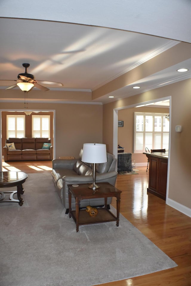 living area featuring a tray ceiling, wood finished floors, a healthy amount of sunlight, and ornamental molding