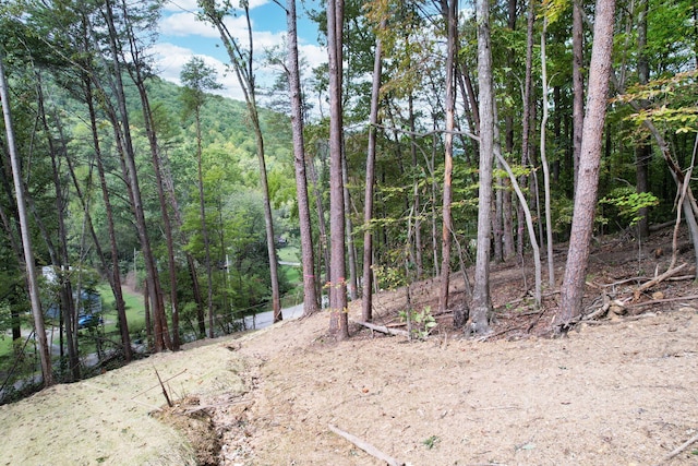 11044 Loop Rd, Soddy-Daisy, TN 37379