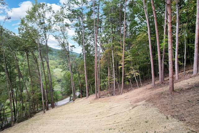 11044 Loop Rd, Soddy-Daisy, TN 37379