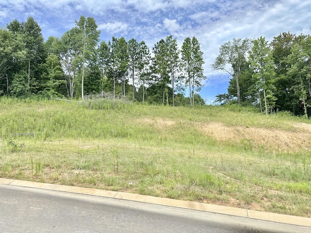 1260 Angie Ln NE, Cleveland, TN 37312 - photo 1
