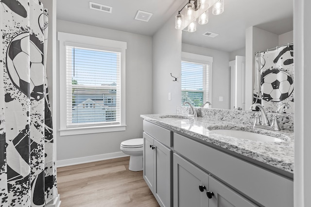 bathroom featuring wood-type flooring, vanity, toilet, and plenty of natural light