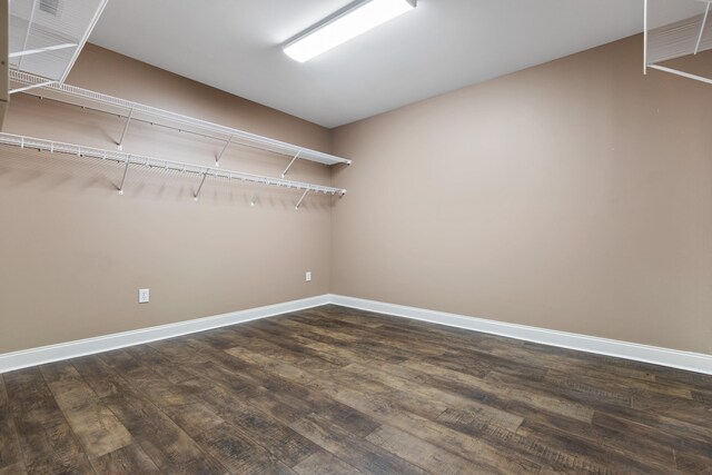 walk in closet featuring dark hardwood / wood-style floors