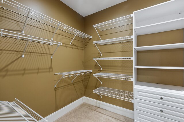 walk in closet featuring carpet flooring