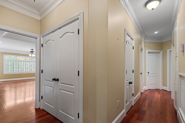 hallway featuring dark wood-type flooring and crown molding