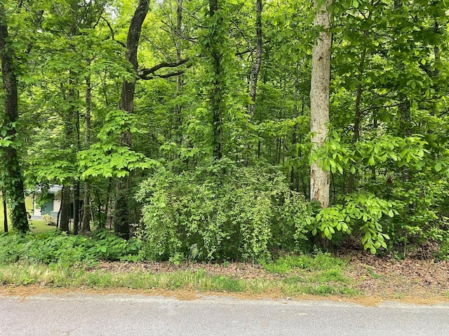 LOT12 Smith Morgan Rd, Soddy-Daisy TN, 37379 land for sale