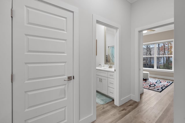 hallway featuring light hardwood / wood-style floors and sink