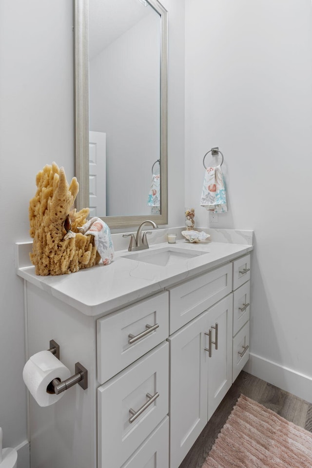 bathroom with vanity and wood-type flooring