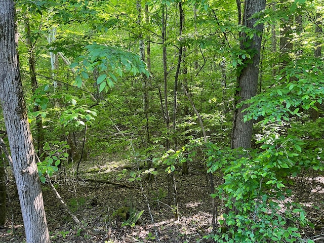 373-375 Beta Dr, Spring City, TN 37381 - photo 2