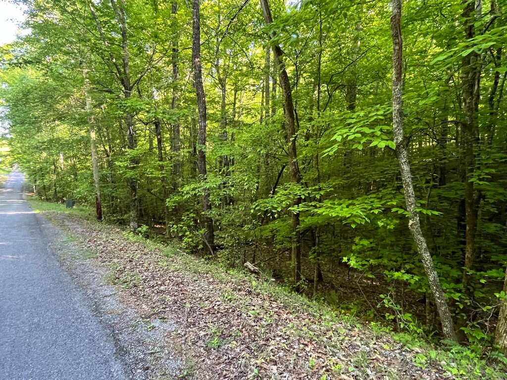 373-375 Beta Dr, Spring City, TN 37381 - photo 1