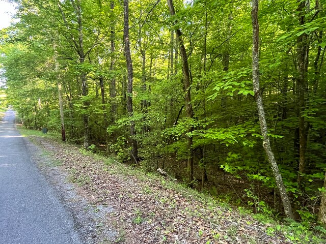 373-375 Beta Dr, Spring City, TN 37381 - photo 1