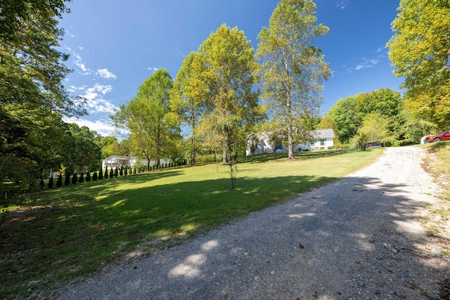 view of community with a lawn