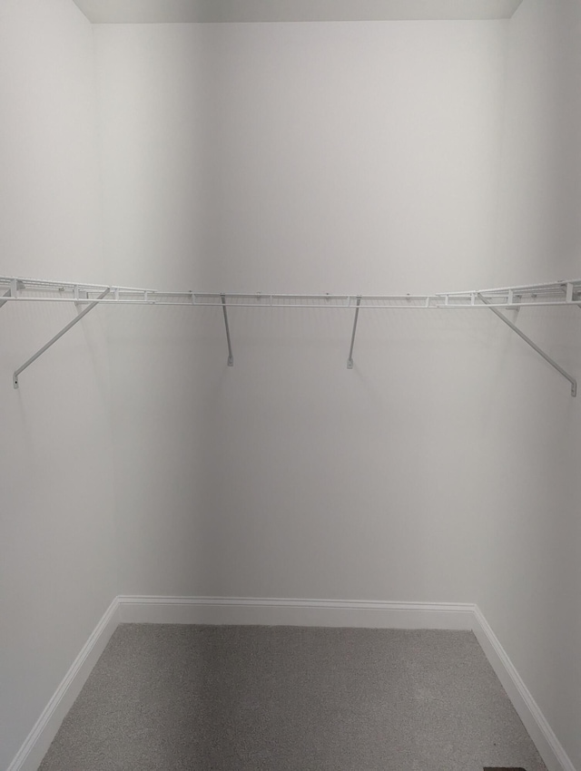 2811 E 26th St, Chattanooga, TN 37407 - walk in closet with carpet