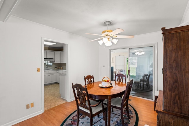 dining space featuring ceiling fan, light wood-type flooring, and crown molding