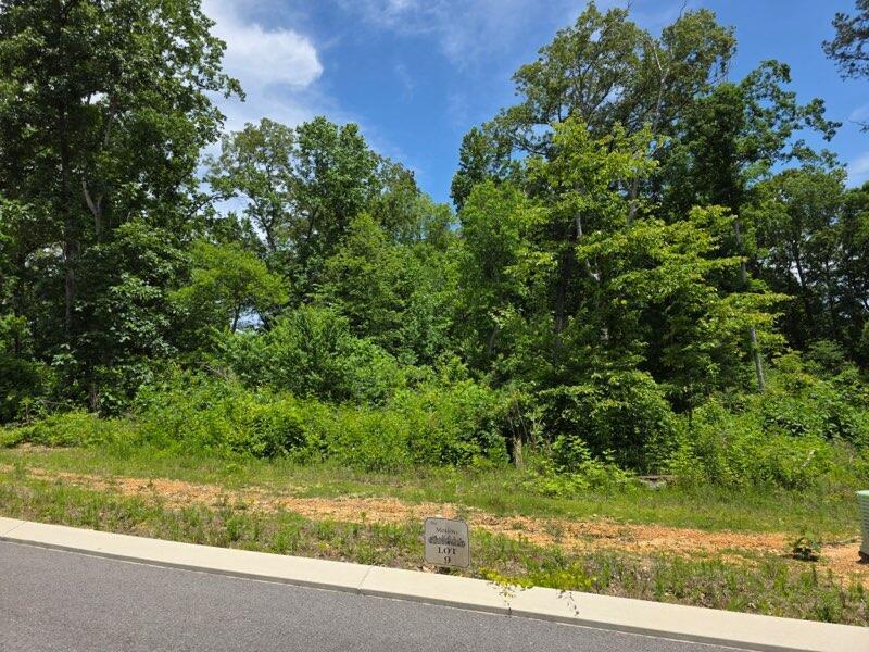 132 County Road 155, Riceville, TN 37370