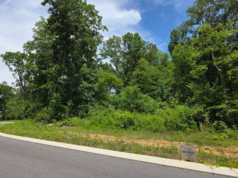 132 County Road 155, Riceville, TN 37370