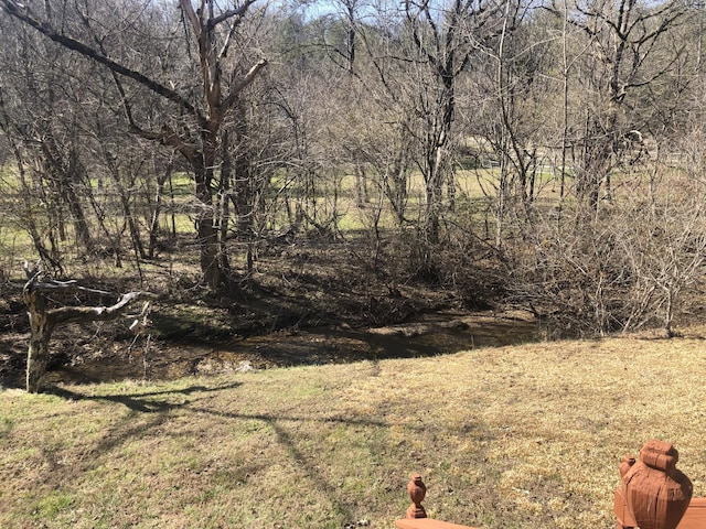 view of landscape featuring a forest view