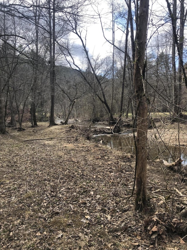 view of nature featuring a wooded view