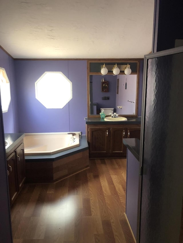 bathroom featuring vanity, a bath, and wood finished floors