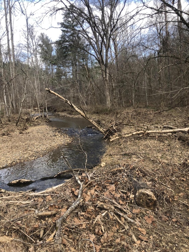 view of nature with a forest view