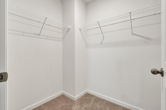6026 Pearson Ln NW Unit 31, Cleveland, TN 37312 - spacious closet with carpet floors
