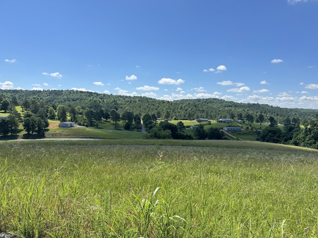 LOT8 Cottonport Rd, Decatur, TN 37322 - photo 3