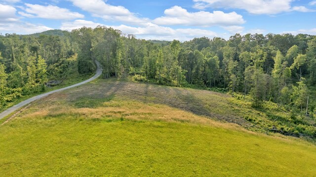 596 Clifty Creek Rd, Oakdale, TN 37829 - aerial view of a forest