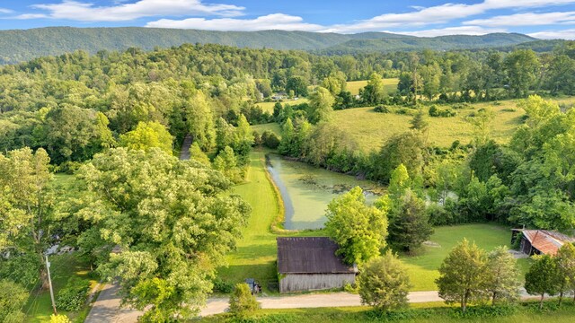 596 Clifty Creek Rd, Oakdale, TN 37829 - aerial view of a forest and a mountainous background