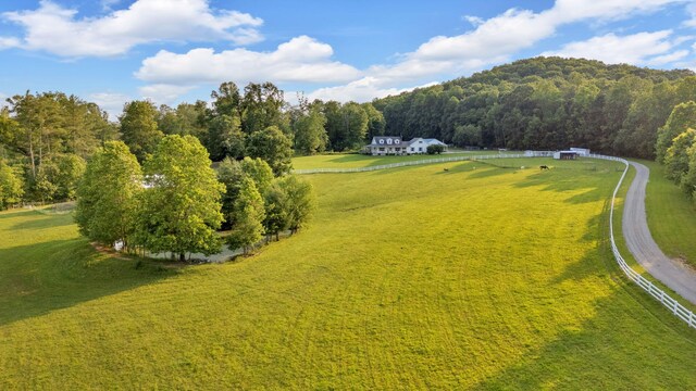 596 Clifty Creek Rd, Oakdale, TN 37829 - view of rural area featuring a forest