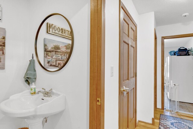596 Clifty Creek Rd, Oakdale, TN 37829 - bathroom featuring a sink, wood finished floors, and baseboards