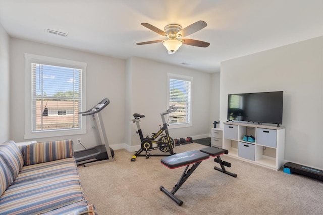 131 Winesap Way SW, Cleveland, TN 37311 - exercise area with carpet flooring, a ceiling fan, and baseboards