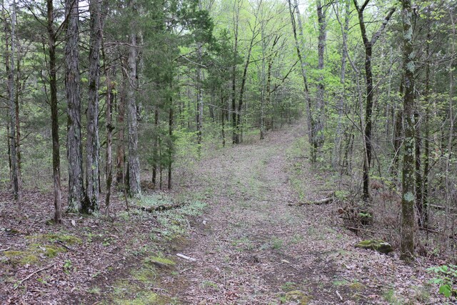 21ACRES County Rd, Englewood, TN 37329