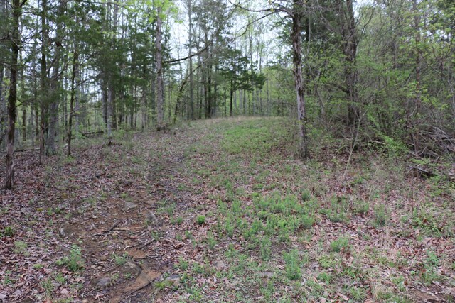 21ACRES County Rd, Englewood, TN 37329