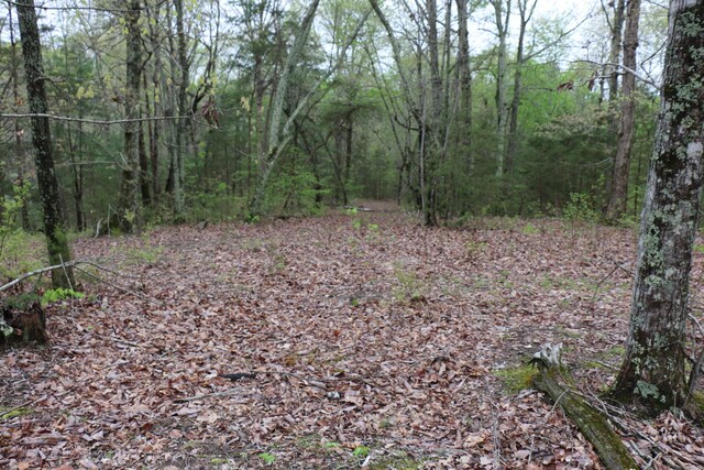 21ACRES County Rd, Englewood, TN 37329