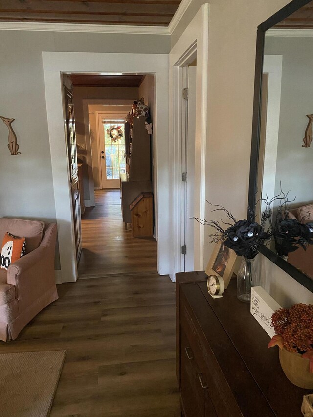 corridor featuring ornamental molding and dark wood finished floors