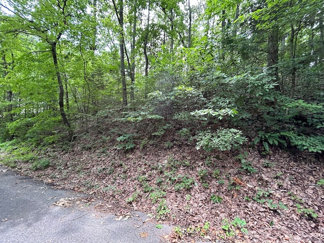 0 Zion Dr NW, Cleveland TN, 37312 land for sale