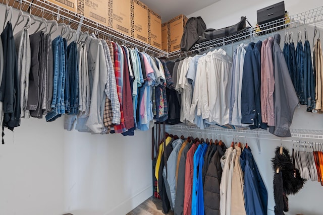 view of walk in closet