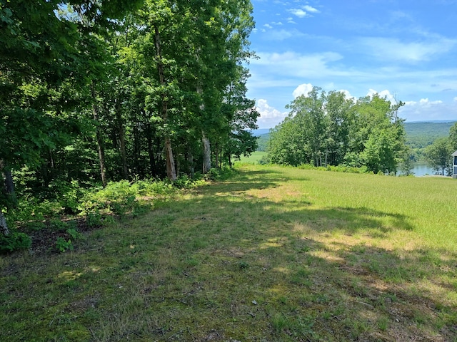 6428 Espalier Dr, Decatur, TN 37322 - photo 12