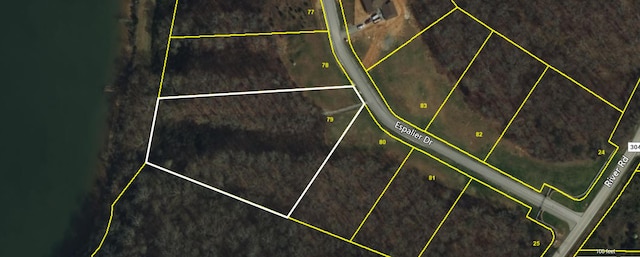 6428 Espalier Dr, Decatur, TN 37322 - photo 5