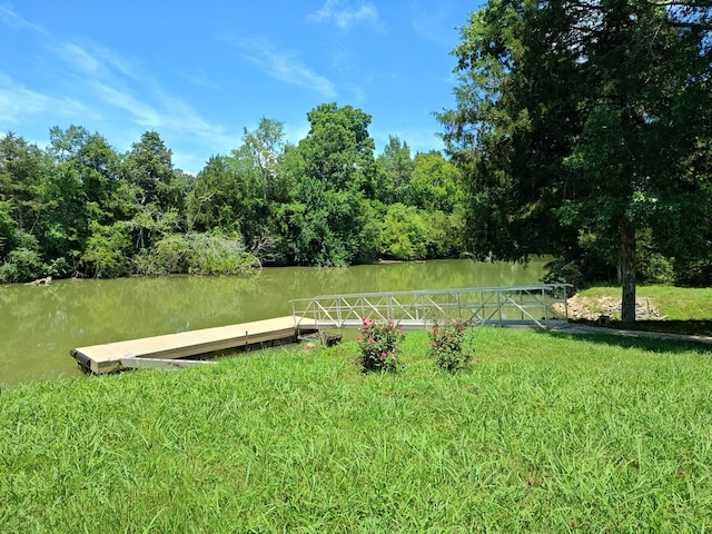 6428 Espalier Dr, Decatur, TN 37322 - photo 19