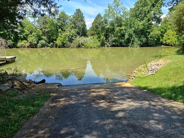 6428 Espalier Dr, Decatur, TN 37322 - photo 21