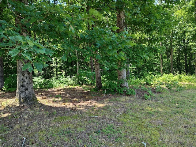 6428 Espalier Dr, Decatur, TN 37322 - photo 10
