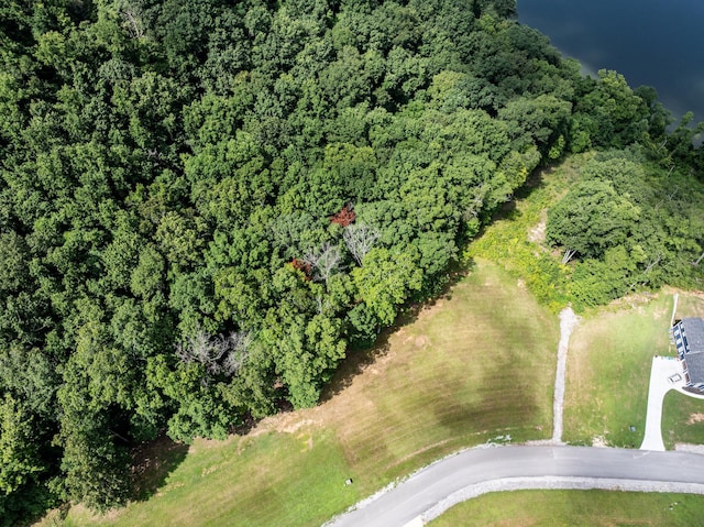 6428 Espalier Dr, Decatur, TN 37322 - photo 2